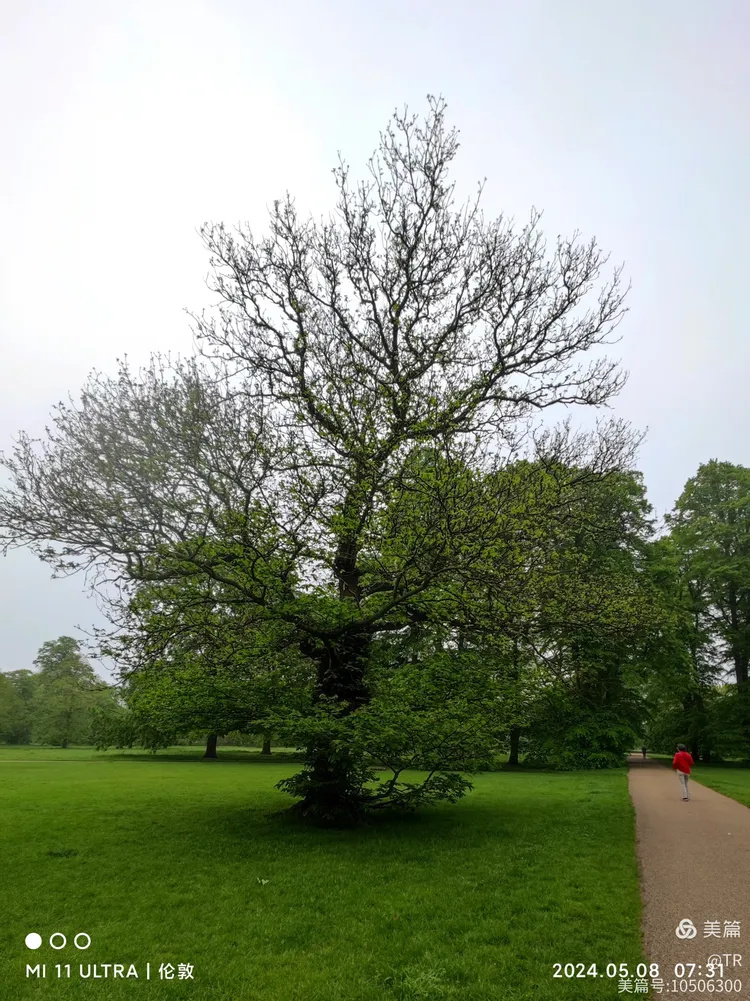 伦敦海德公园清晨一角